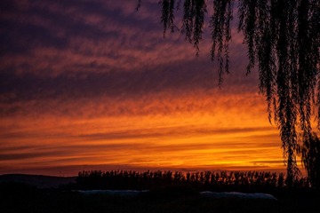 IMG_9655.jpg
