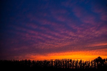 IMG_9658.jpg