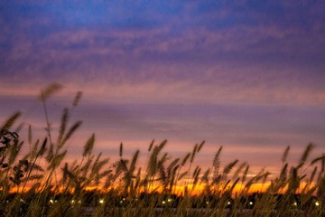 IMG_9697.jpg