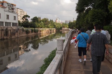 P5210035.jpg