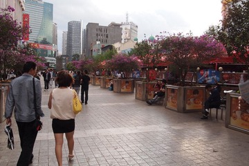 P5210044.jpg