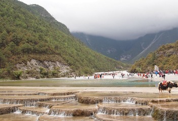 P5250540.jpg