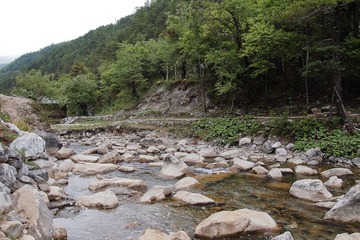 P5250550.jpg