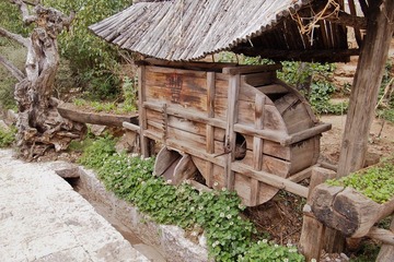 P5250571.jpg