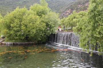 P5250593.jpg