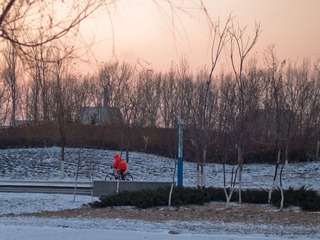 P1112654.jpg