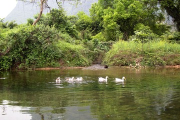遇龙河-3.jpg
