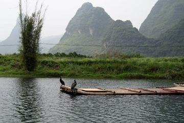 遇龙河-7.jpg