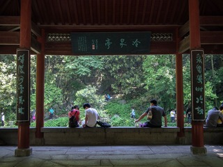 P5174472.jpg