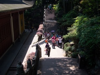 P5174440.jpg
