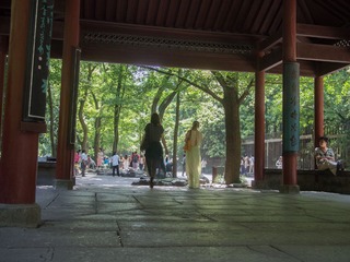 P5174479.jpg