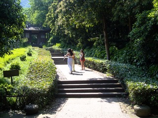 P5174484.jpg