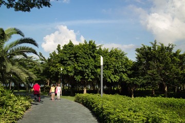 P5306316.jpg