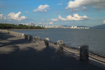 P5306321.jpg