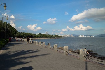 P5306322.jpg