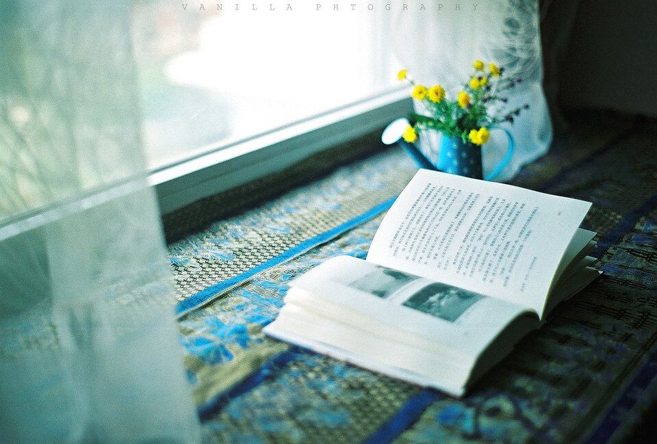02<br />
Minolta X700  Fuji superia 200
