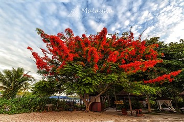 DSC_7062--800