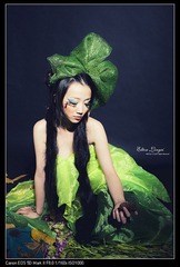 nEO_IMG__MG_5720.jpg