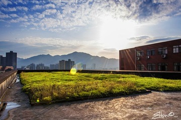 屋顶的绿地承载了一群学生对夏天的记忆