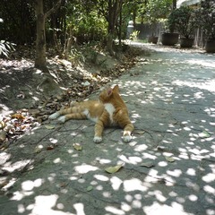 P1000581