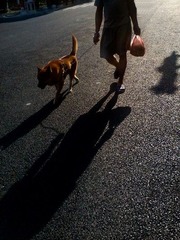 2011-10-16 08.42.07.jpg