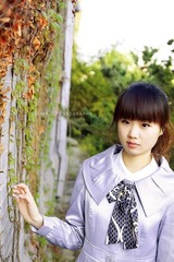爬山虎的脚