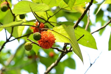 DSC_0886.JPG