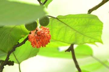 DSC_0956.JPG
