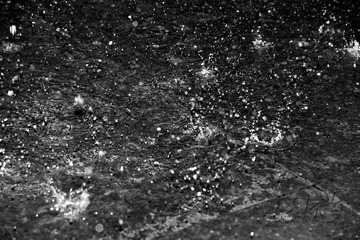 DSC_0156   雨夜_conew1.jpg