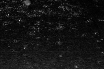 DSC_0152.jpg