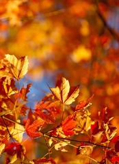 IMG_0320.jpg