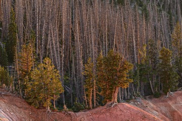 IMG_6397.jpg