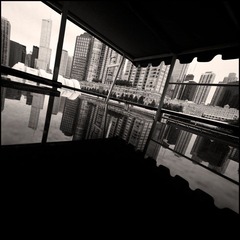 IMG_7859.jpg