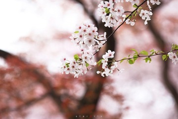 IMG_8763.jpg