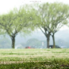 IMG_8801.jpg