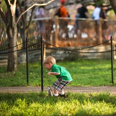 IMG_9274.jpg