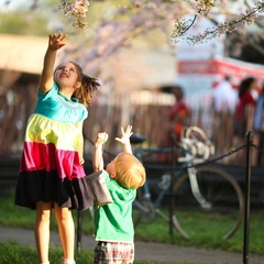 IMG_9276.JPG