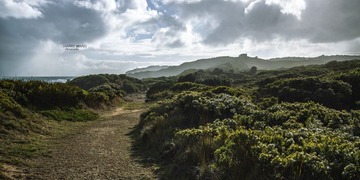 IMG_0799.jpg