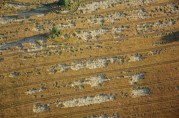 C360_2011-04-13 12-26-21