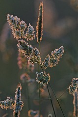 C360_2011-05-08 16-53-00