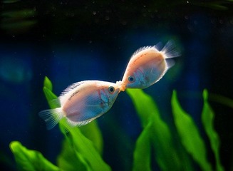 20100716-IMG_8947