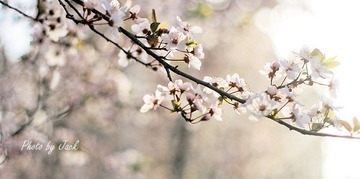 20100325-IMG_4421