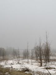 2F9A774D-92D6-4A09-81E6-EAD3A0DF9F61/L0/001
