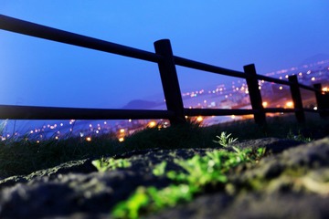 路景。