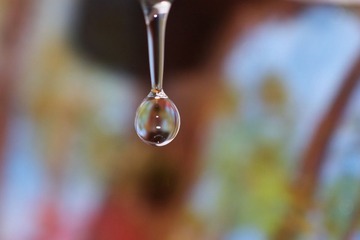 水④