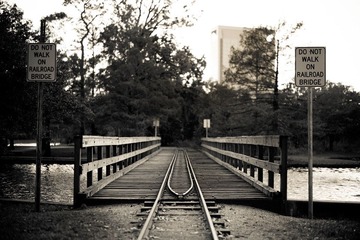 L1000239.jpg