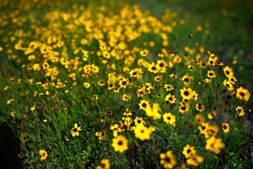DSC_0048.jpg