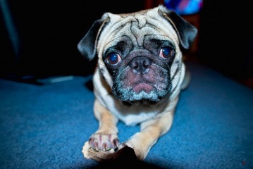 DSC_1635s.jpg