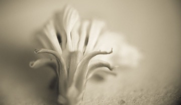 DSC_5505-3.jpg