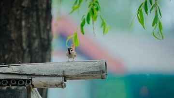 DSC_6148.jpg